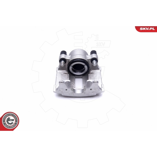 46SKV432 - Brake Caliper 