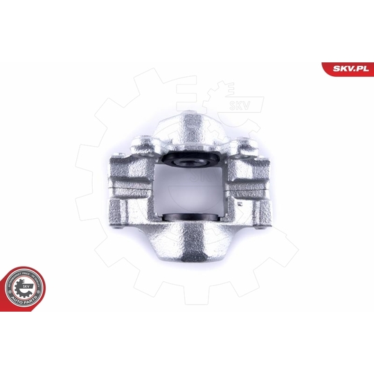 55SKV223 - Brake Caliper 