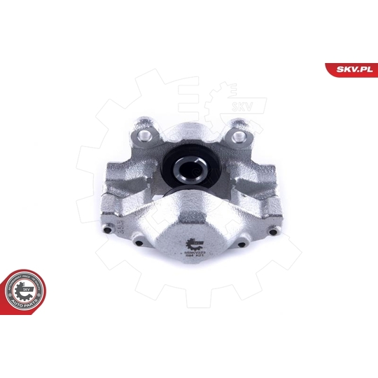 55SKV223 - Brake Caliper 