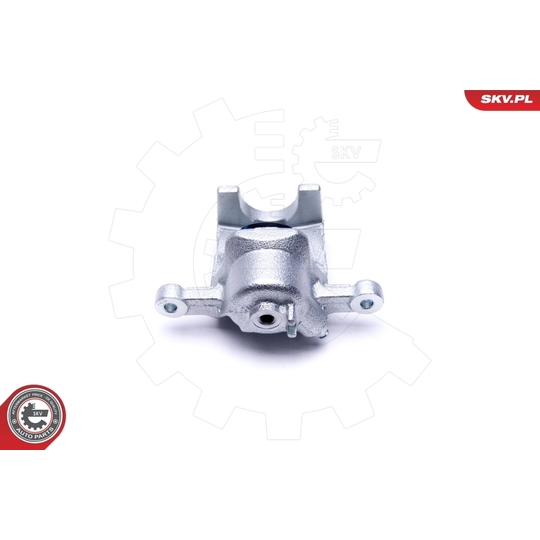 46SKV104 - Brake Caliper 