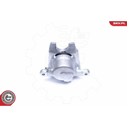 44SKV021 - Brake Caliper 