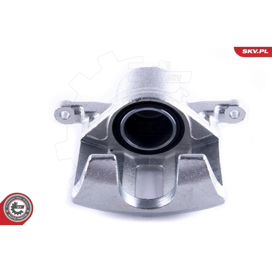 55SKV242 - Brake Caliper 