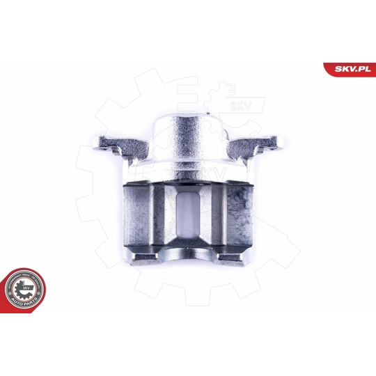 55SKV242 - Brake Caliper 