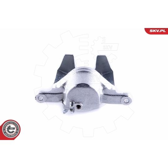 55SKV242 - Brake Caliper 