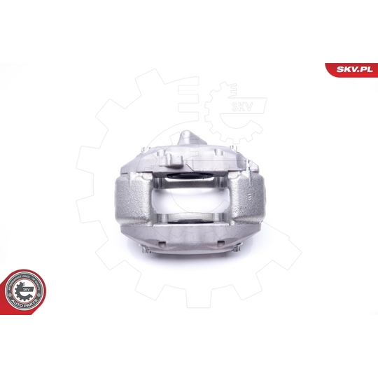 42SKV452 - Brake Caliper 