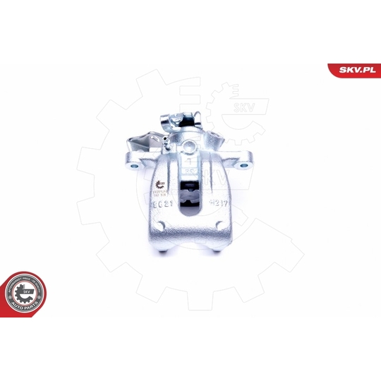 44SKV263 - Brake Caliper 