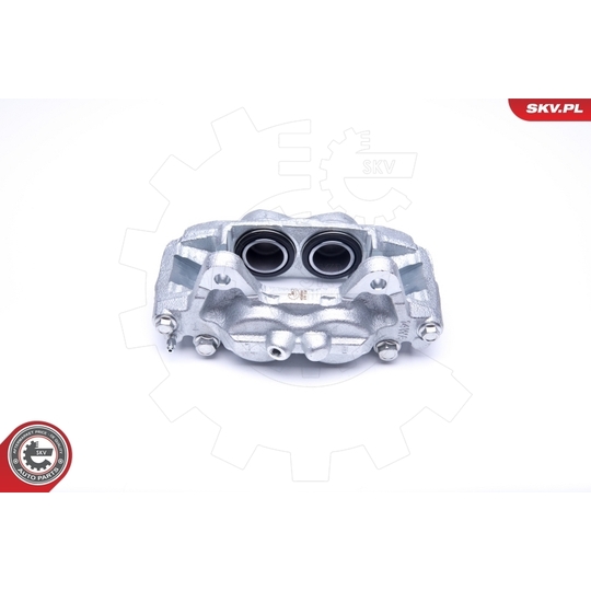 45SKV201 - Brake Caliper 