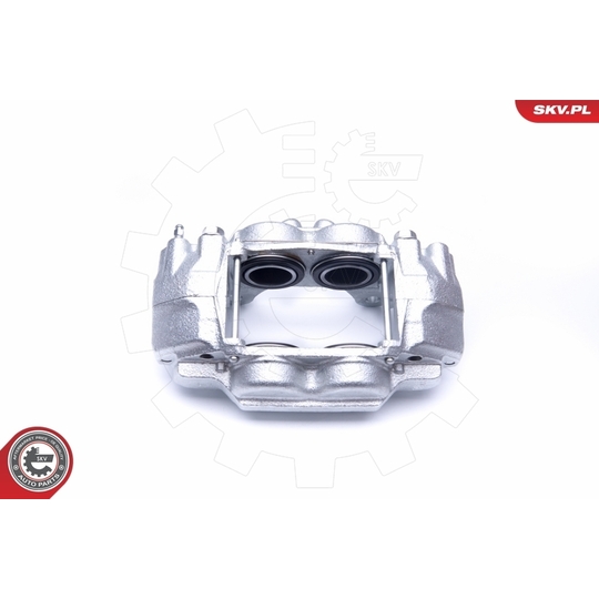 45SKV201 - Brake Caliper 