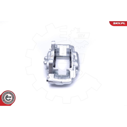 45SKV201 - Brake Caliper 