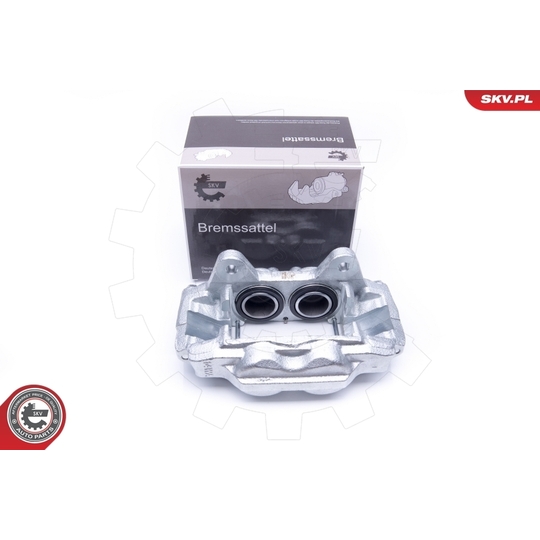 45SKV201 - Brake Caliper 