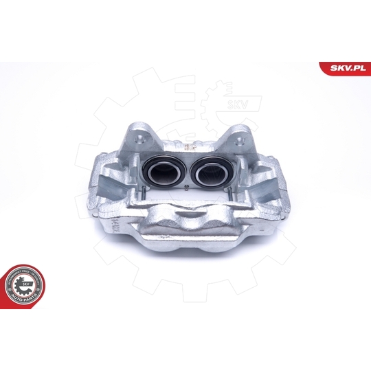 45SKV201 - Brake Caliper 