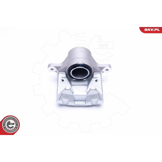 50SKV311 - Brake Caliper 