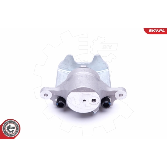 50SKV311 - Brake Caliper 