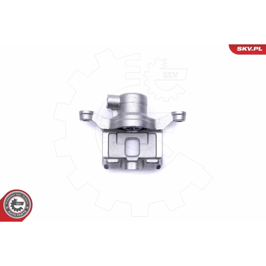 50SKV444 - Brake Caliper 