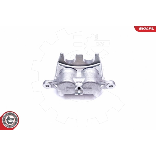 45SKV672 - Brake Caliper 