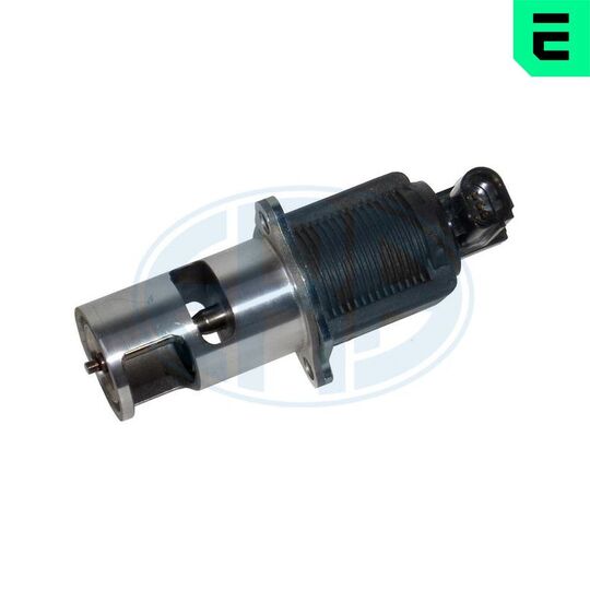 555031A - EGR Valve 