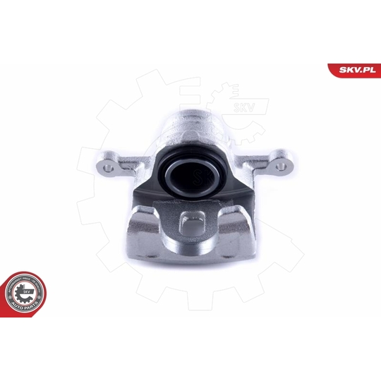 55SKV373 - Brake Caliper 