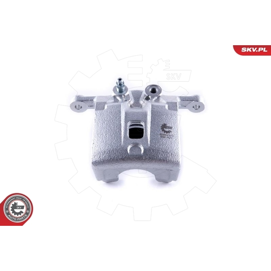 55SKV373 - Brake Caliper 