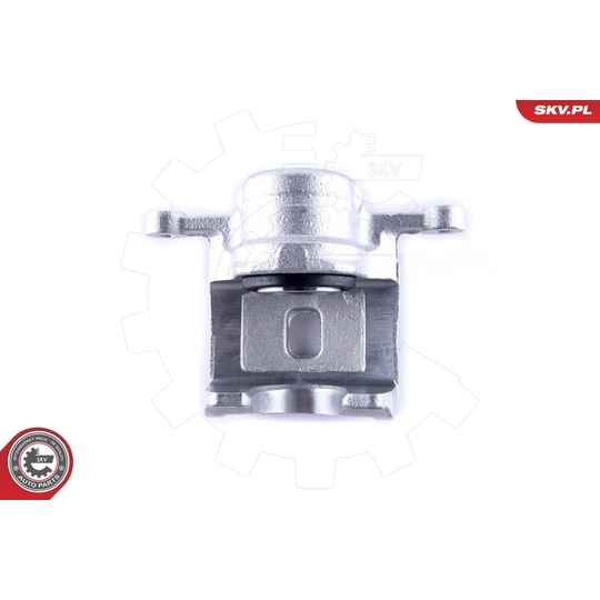 55SKV373 - Brake Caliper 