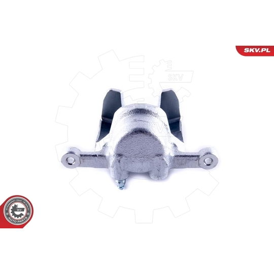 55SKV373 - Brake Caliper 