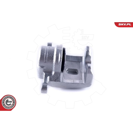 55SKV373 - Brake Caliper 