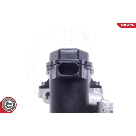 55SKV934 - Brake Caliper 