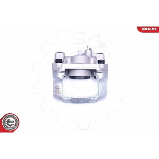 45SKV301 - Brake Caliper 