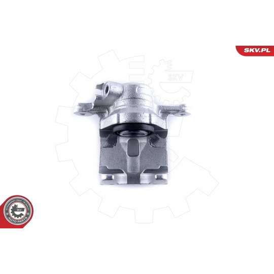 55SKV284 - Brake Caliper 