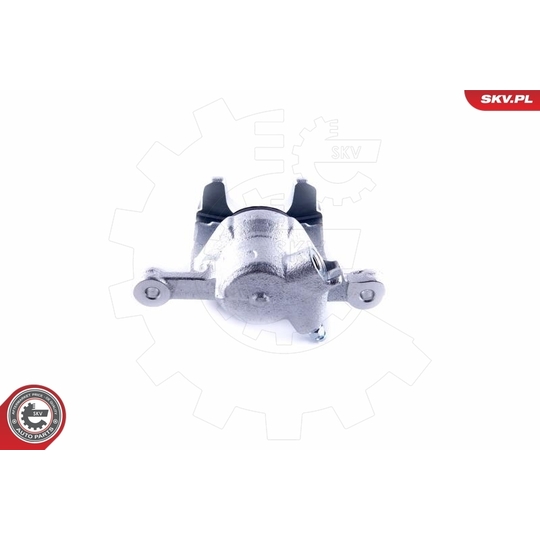 55SKV284 - Brake Caliper 