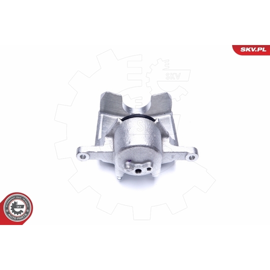 44SKV862 - Brake Caliper 