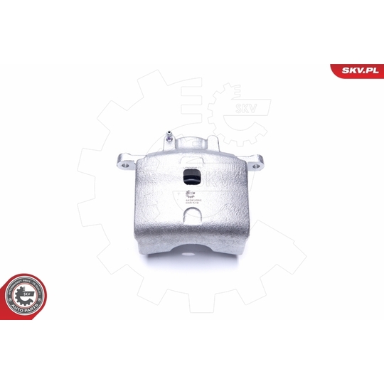 44SKV862 - Brake Caliper 