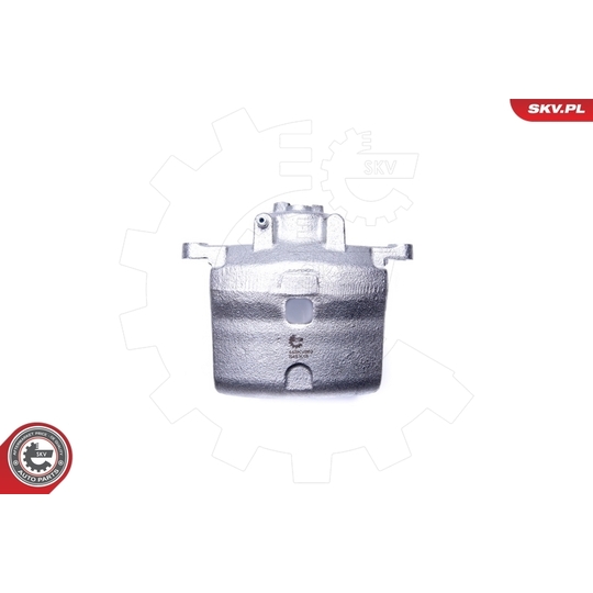 44SKV862 - Brake Caliper 