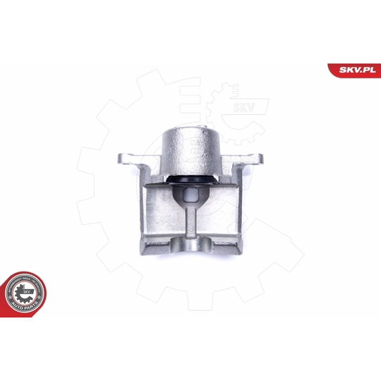 44SKV862 - Brake Caliper 