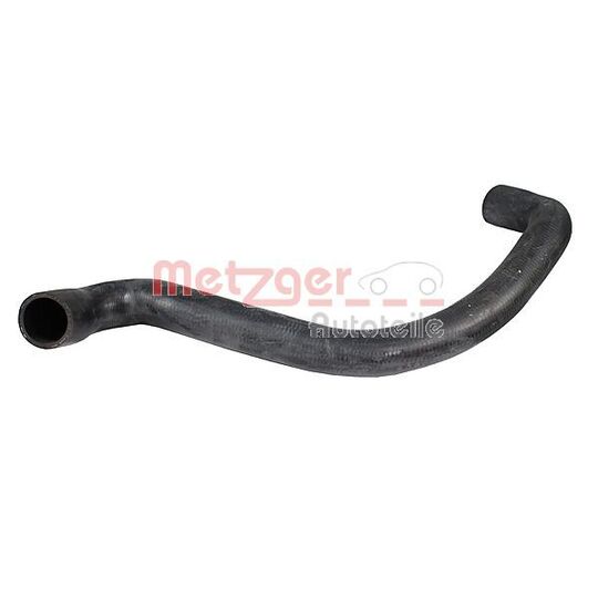 Radiator Hose