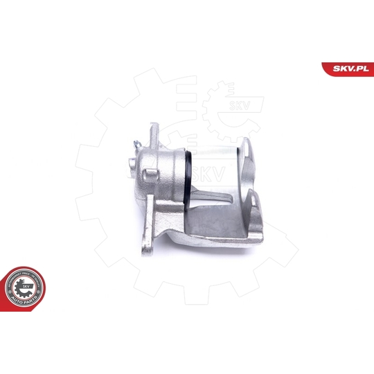 44SKV982 - Brake Caliper 