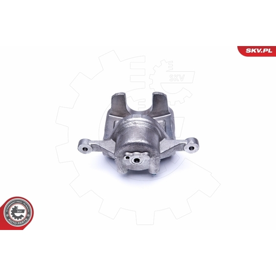 42SKV482 - Brake Caliper 