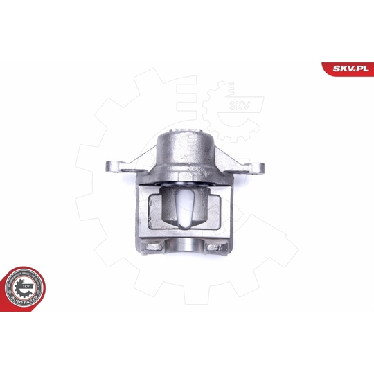 42SKV482 - Brake Caliper 