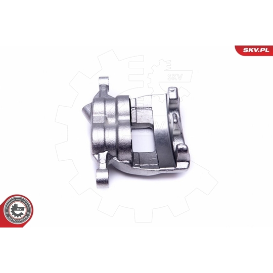 50SKV012 - Brake Caliper 