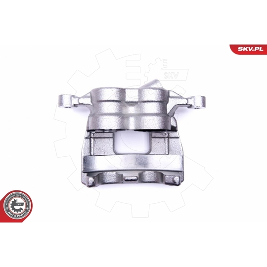 50SKV012 - Brake Caliper 