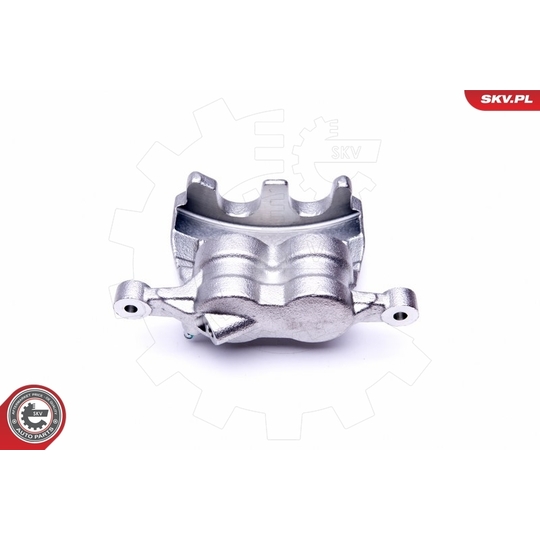 50SKV012 - Brake Caliper 