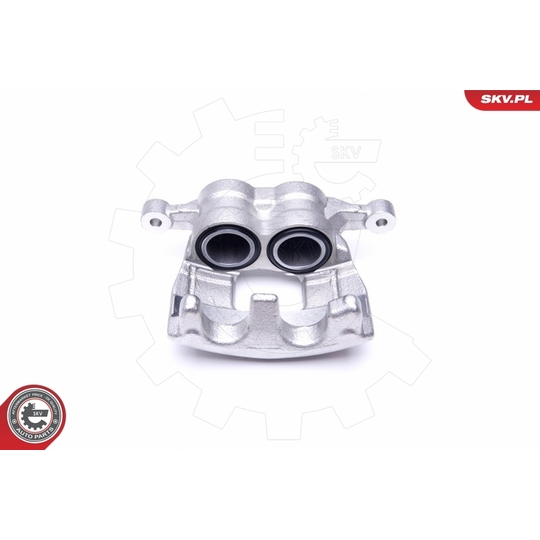 50SKV012 - Brake Caliper 