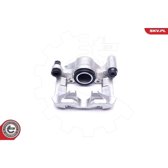 45SKV042 - Brake Caliper 