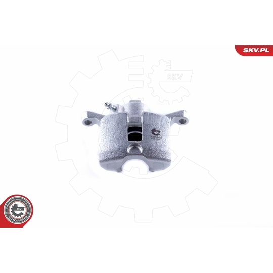 50SKV843 - Brake Caliper 