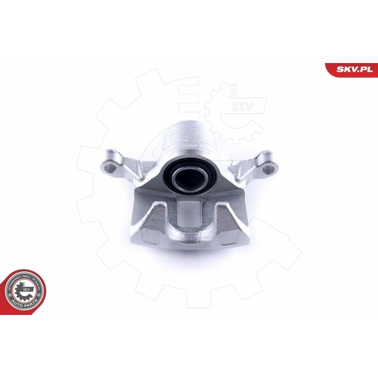 50SKV843 - Brake Caliper 