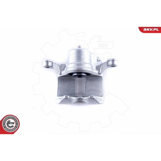 50SKV843 - Brake Caliper 