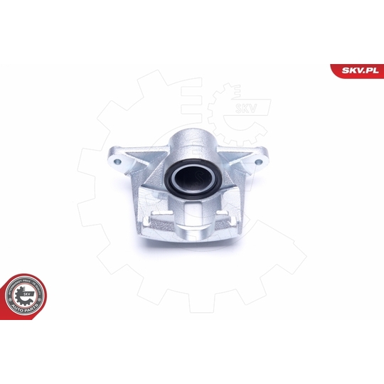 42SKV921 - Brake Caliper 