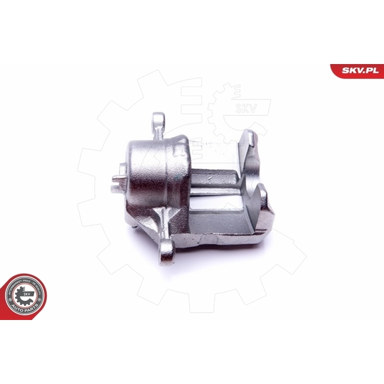 45SKV781 - Brake Caliper 