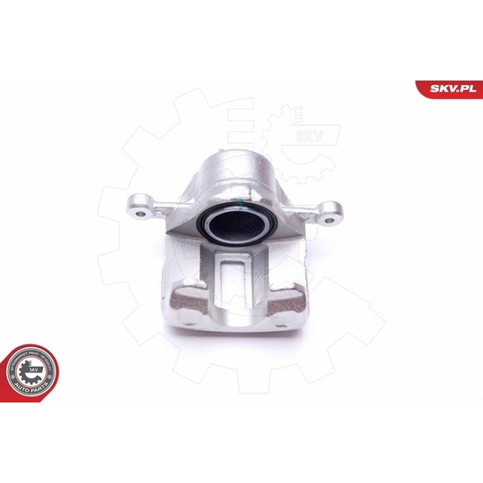 45SKV781 - Brake Caliper 