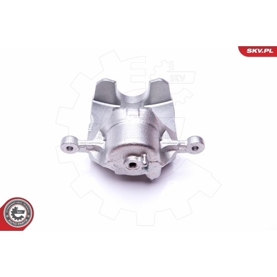 45SKV781 - Brake Caliper 