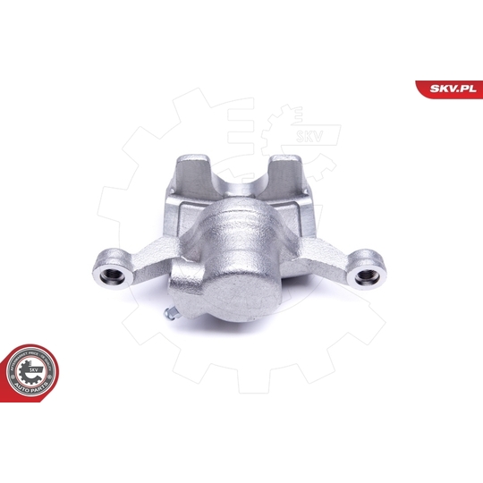 50SKV443 - Brake Caliper 